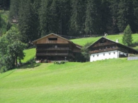 Besuch am Trogerhof (Abfaltersbach)