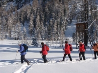 Schneeschuhwanderung 2018